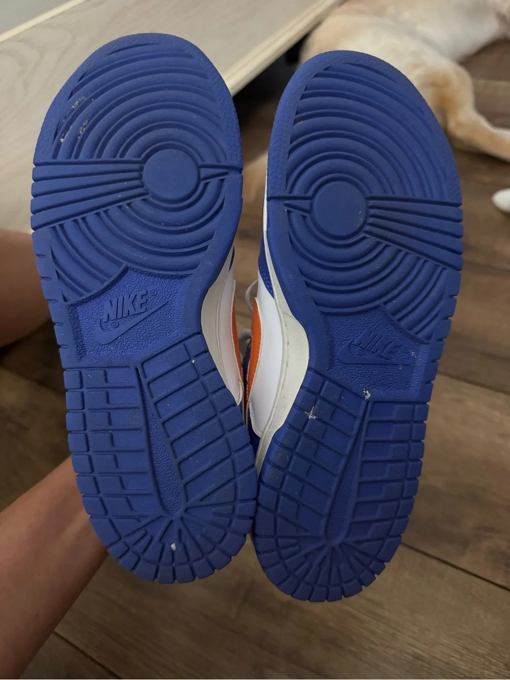 Nike Kids Blue White Orange Low-Top Sneakers